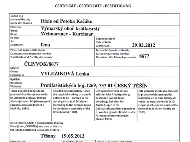 certifikat_vstup_dpc