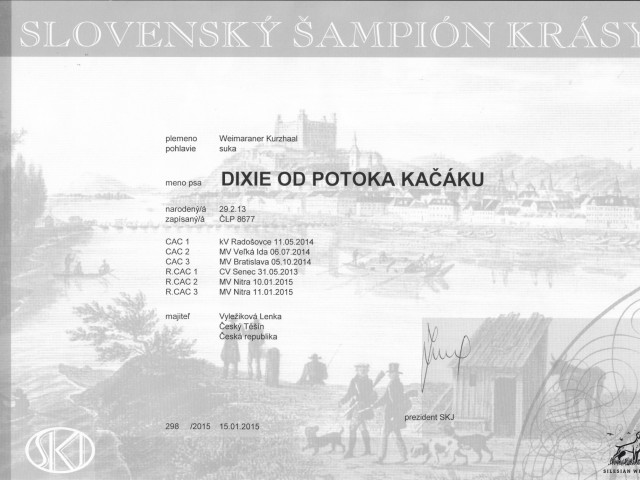 dixie_sampion_sk